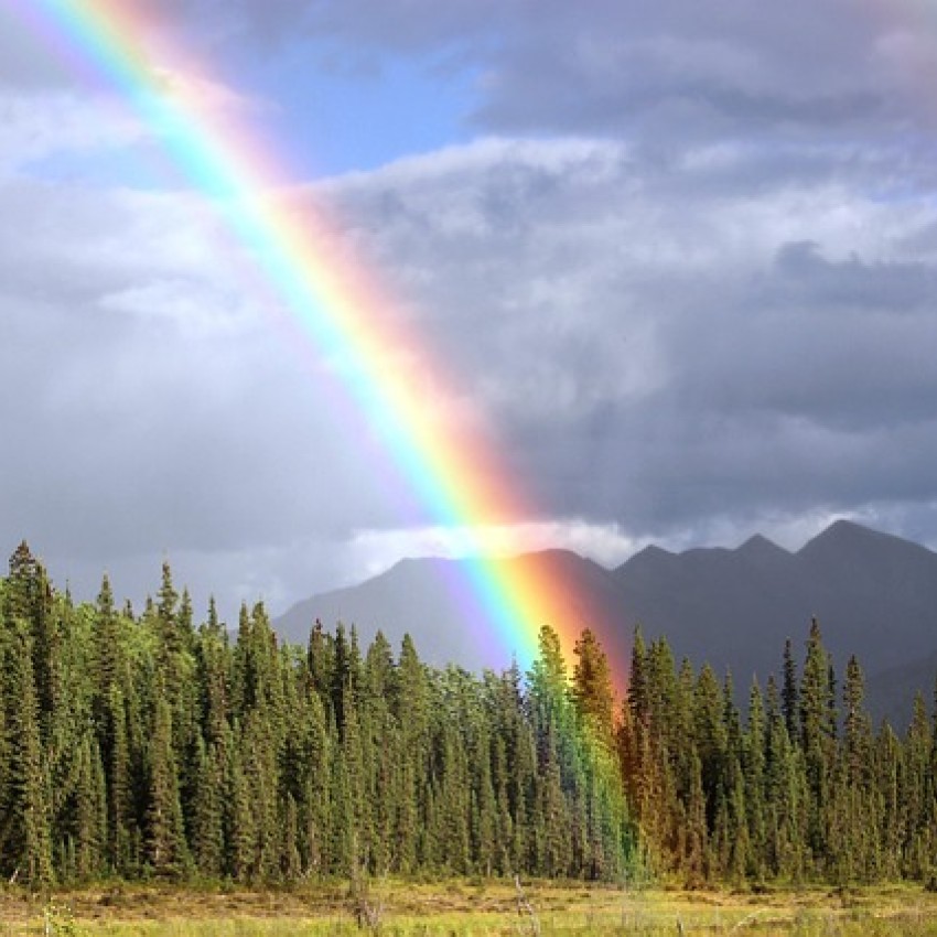 Regenbogen